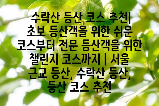 랜덤121