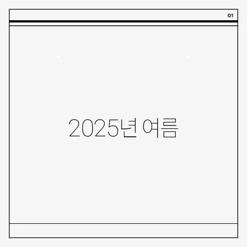 2025년 여름, 꼭 가봐야 할 국내 축제 완벽 정리!