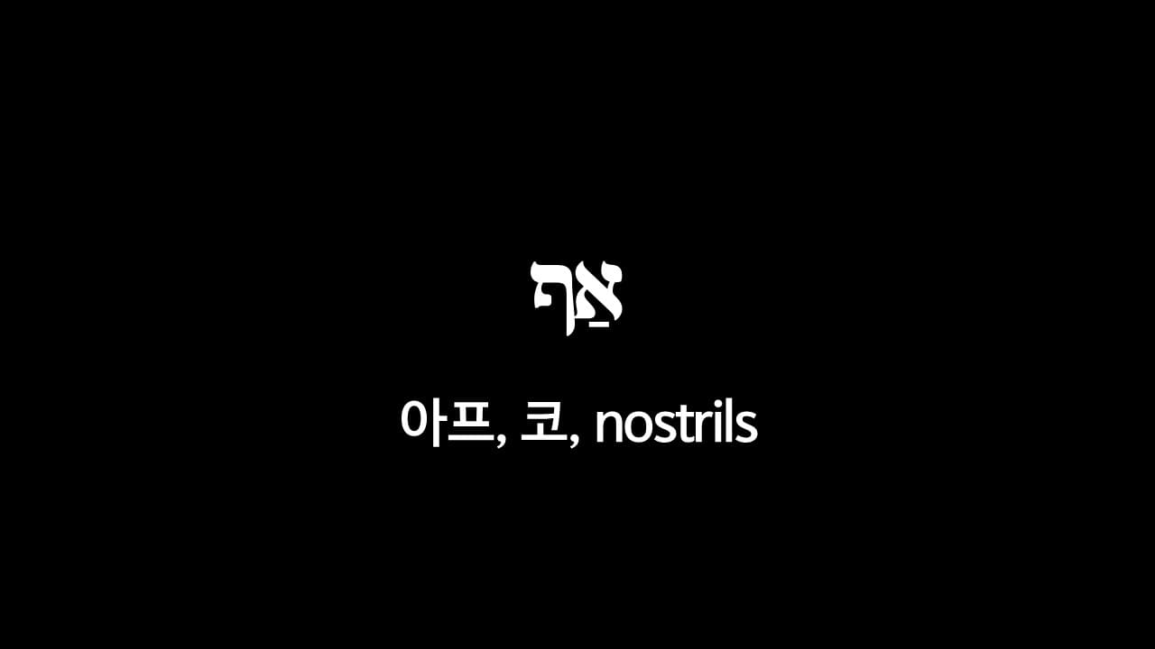 창세기 2장 7절&#44; 코(אַף&#44; nostrils&#44; 아프) - 히브리어 원어 정리