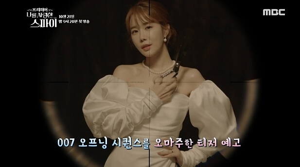  나를 사랑한 스파이 인물관계도 원작