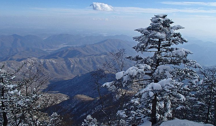 겨울-산행-산-추천-안전한-팁-등산-지리산