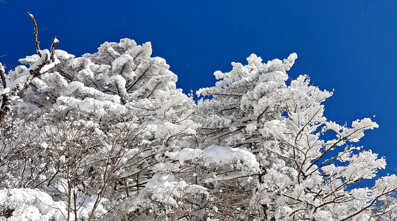 지리산 설경 상고대