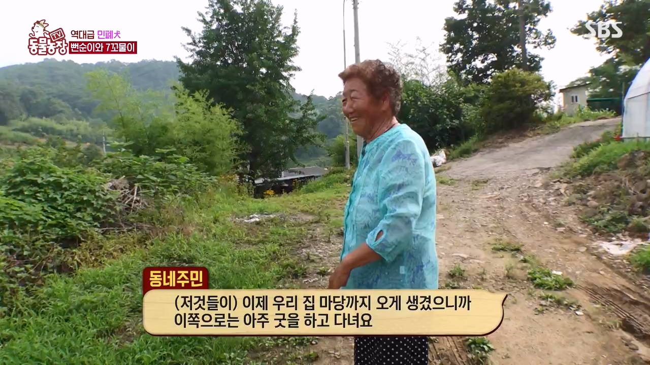 TV 동물농장.E1131.230731p-NEXT.mp4_20230730_190939.950.jpg