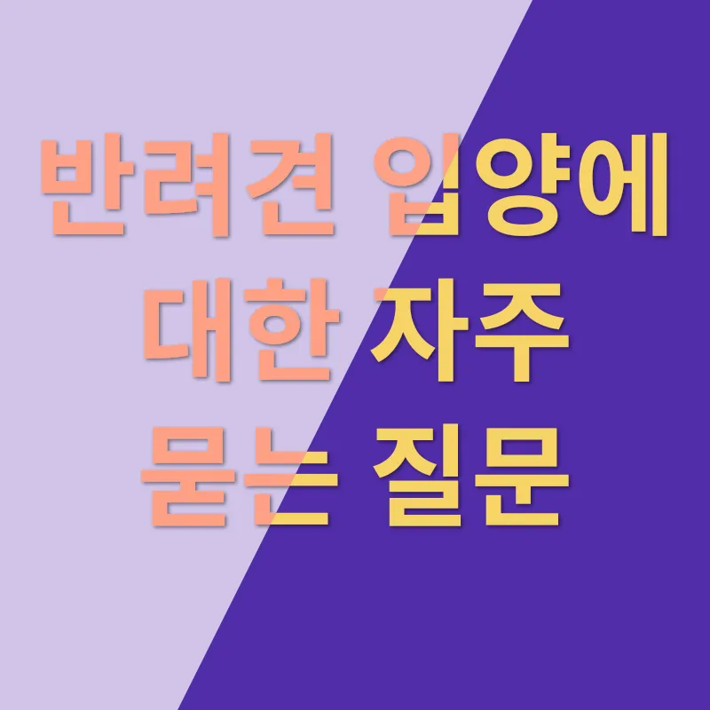 반려견 입양_4