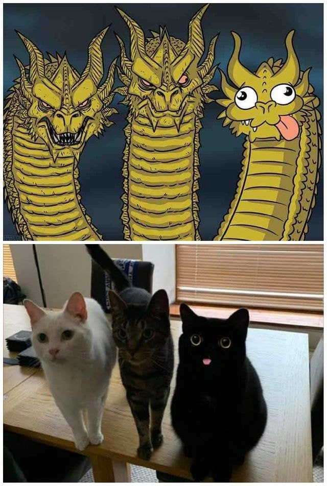  그림체가 틀림 ㅋㅋㅋ