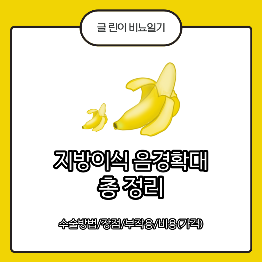  지방이식 음경확대 총 정리 : 수술방법/장점/부작용/비용(가격)