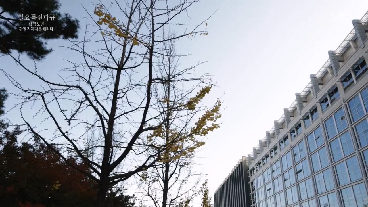 일요특선 다큐멘터리.E343.231127p-NEXT.mp4_20231126_172744.595.jpg