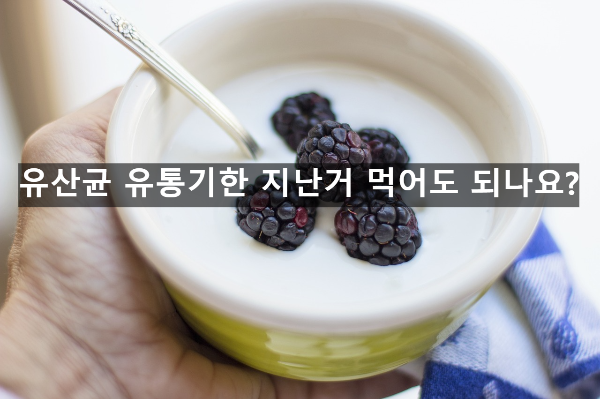  유산균 유통기한 지난거 먹어도 되나요? 알아보기