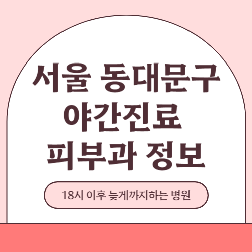 서울 동대문구 야간진료 피부과 병원 (18시 이후 늦게까지하는 병원)