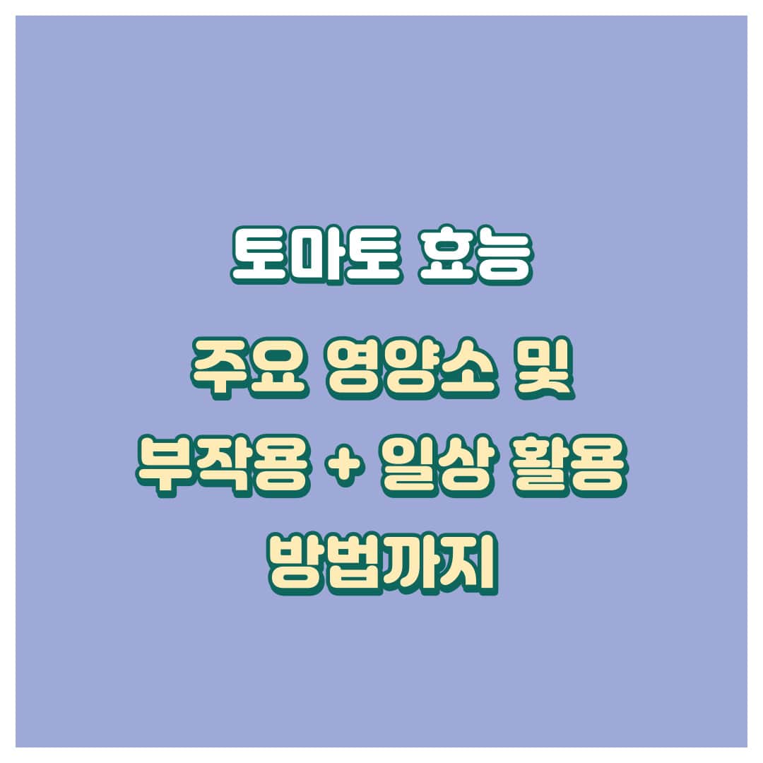 토마토효능표지