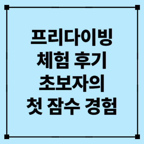 프리다이빙 체험 후기 – 초보자의 첫 잠수 경험