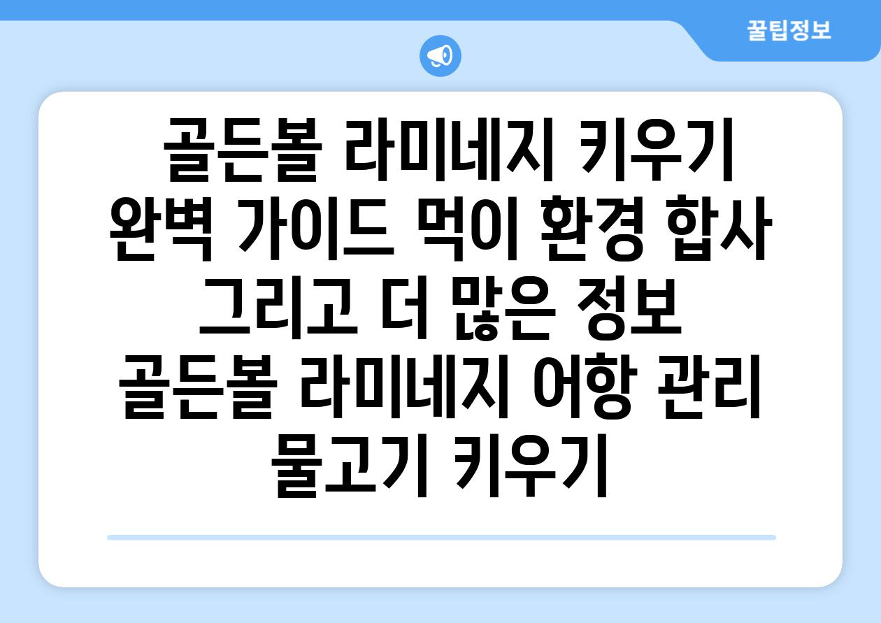 ## 골든볼 라미네지 키우기 완벽 가이드| 먹이, 환경, 합사, 그리고 더 많은 정보 | 골든볼 라미네지, 어항 관리, 물고기 키우기