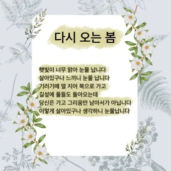 봄 시 모음 이해인 나태주 명시 모음_20
