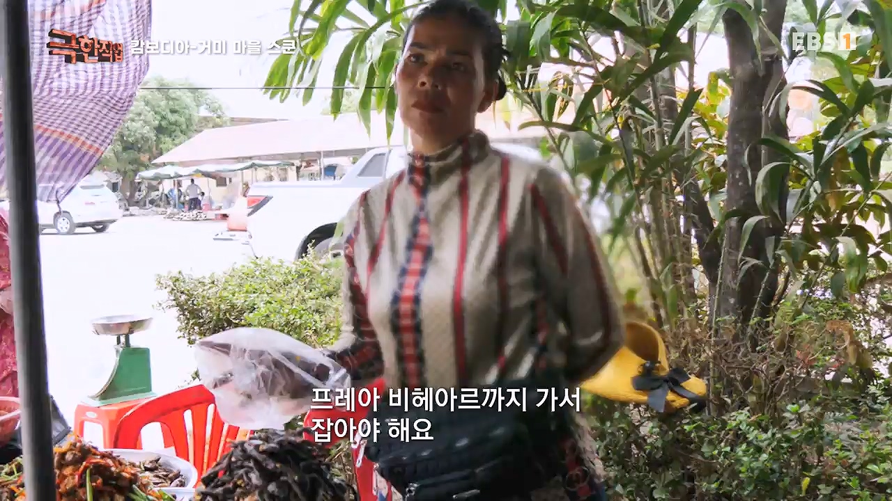 TV - 전 국민의 평생학교 EBS캄보디아 - 독충을 잡는 사람들.mp4_20230501_173351.532.jpg