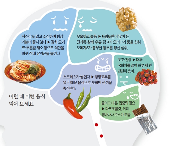 세로토닌 부족현상과 보충 음식