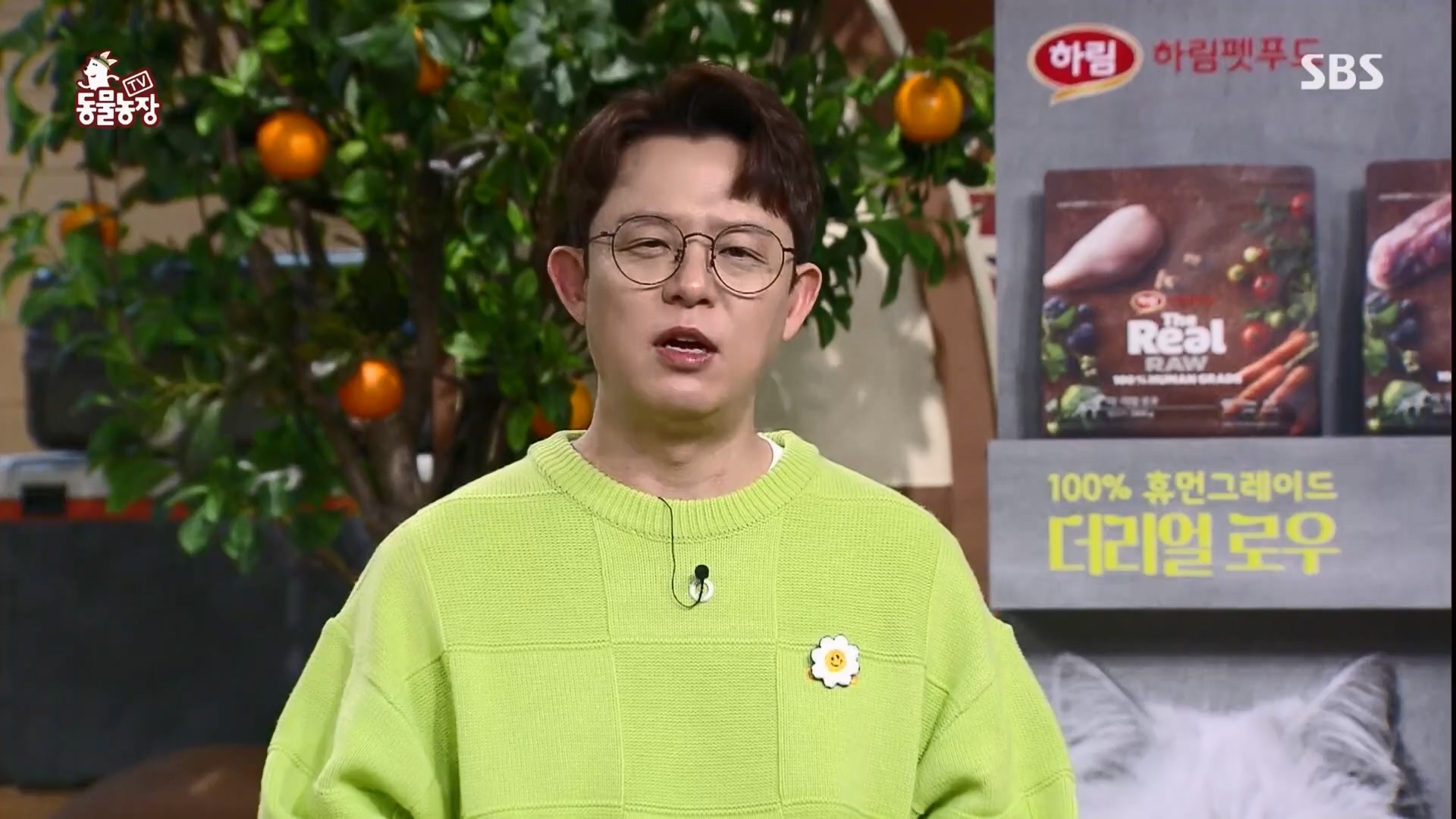 TV 동물농장.E1165.240331p.H264-F1RST.mp4_20240331_144343.434.jpg
