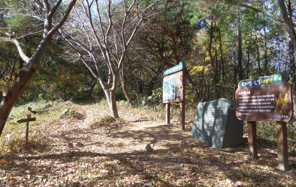 봉좌산 정상 이미지