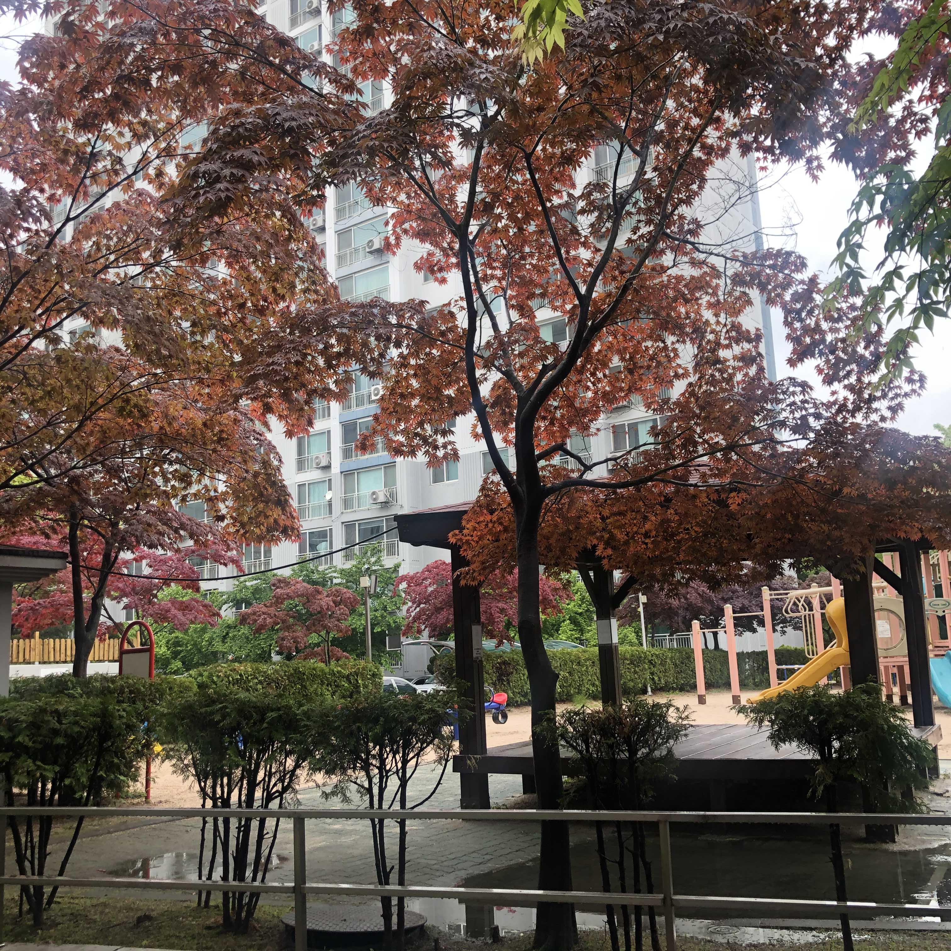  [감성사진] 주말 출근길