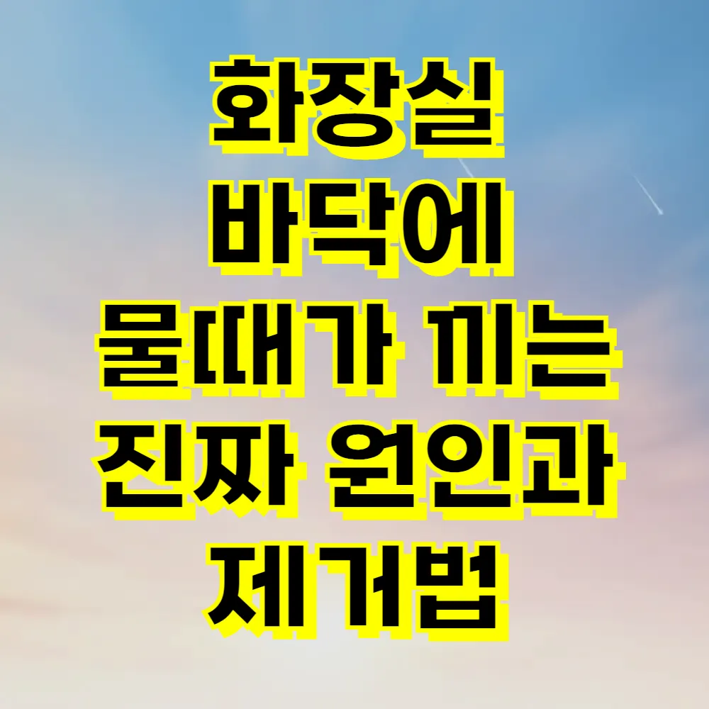 화장실 바닥에 물때가 끼는 진짜 원인과 제거법
