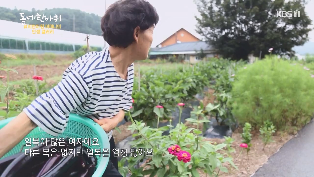동네 한 바퀴.E237.230827p-NEXT.mp4_20230829_212639.890.jpg