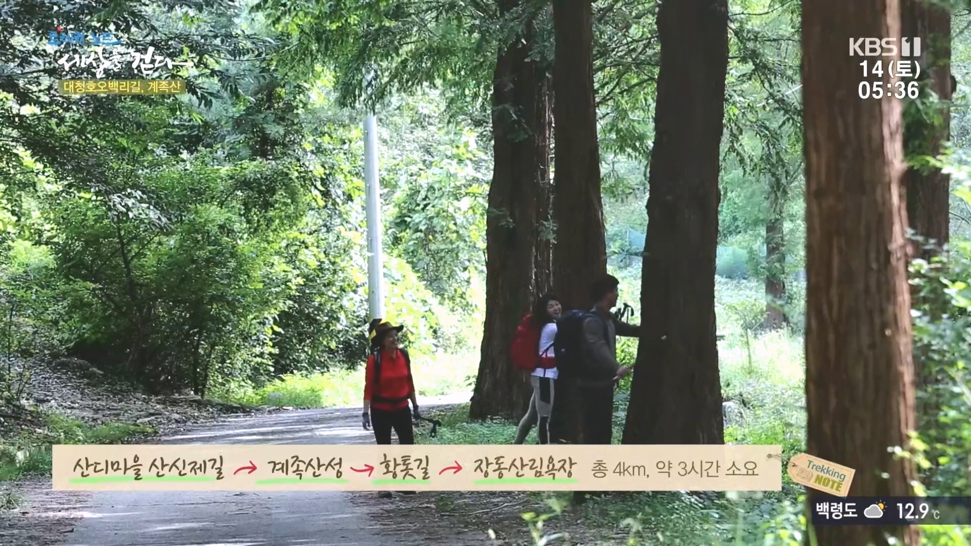 트레킹노트 세상을 걷다.E290.231014p.H264-F1RST.mp4_20231014_180355.198.jpg