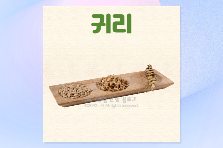  오트밀 귀리효능 및 귀리우유 귀리가루 부작용