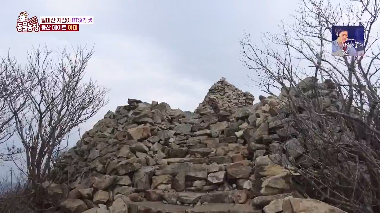 TV 동물농장.E1168.240422p-NEXT.mp4_20240421_170932.486.jpg