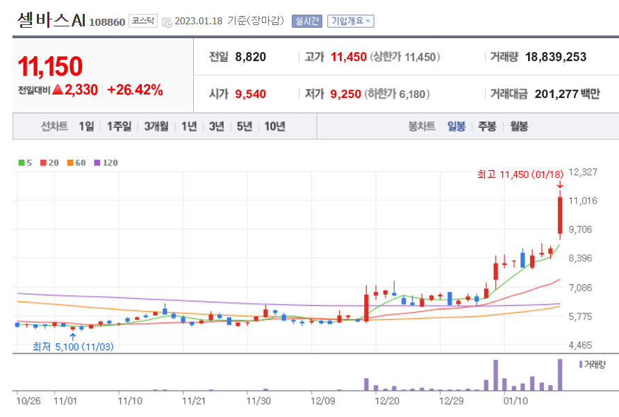 셀바스 AI 주가 차트