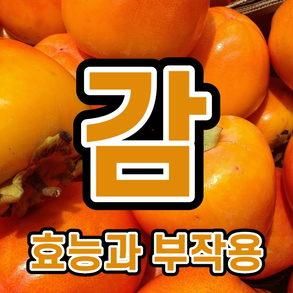  감의 효능과 부작용