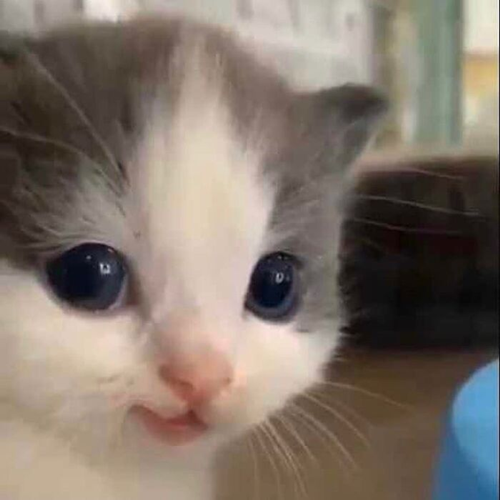 표정으로 말해요