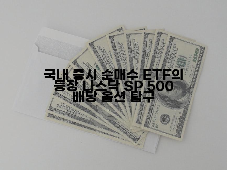 국내 증시 순매수 ETF의 등장 나스닥 SP 500 배당 옵션 탐구