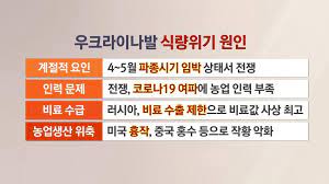  세계 2위 밀 생산국 인도, 수출 금지…정부가 통제