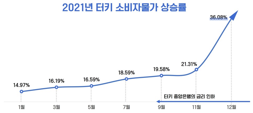 금리인하가 국가에 미치는 영향 터키 리라화의 폭락? 무분별한 13