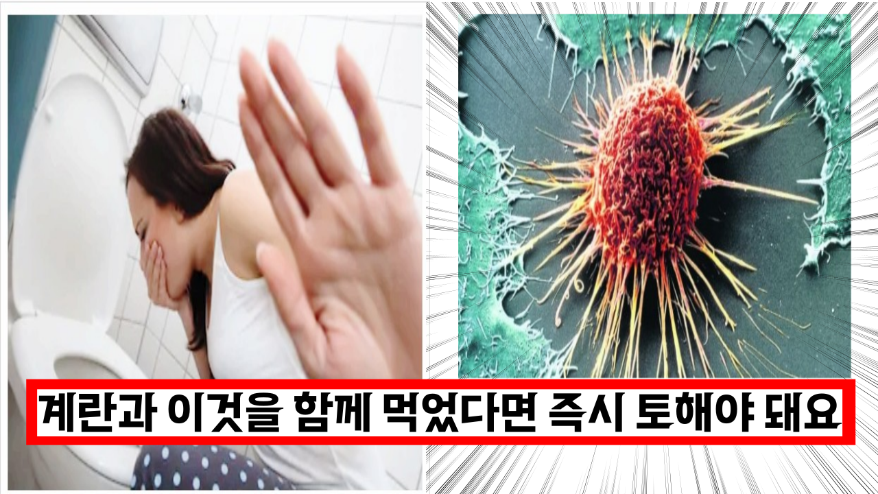  '정말 큰일 나요' 계란과 이것을 함께 먹었다면 즉시 토해내야 합니다. (발암물질 흡수)