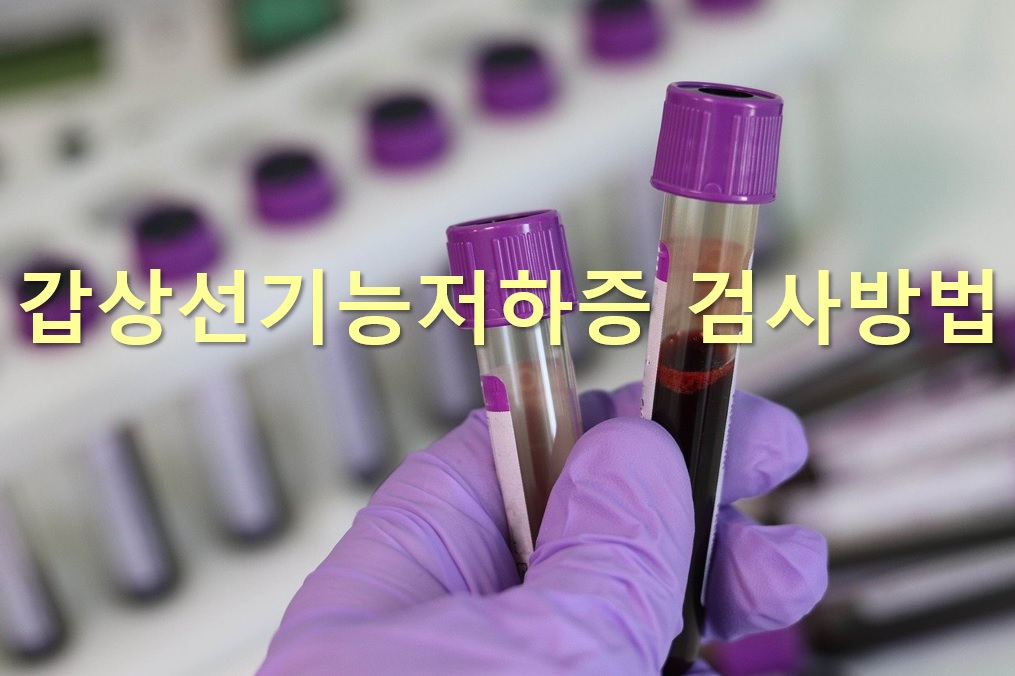  갑상선기능저하증 검사방법과 정상 호르몬 수치 유지 방법