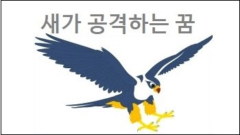새가 공격하는 꿈