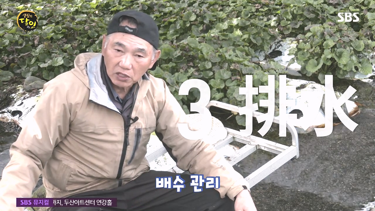 생활의 달인.E908.231017p-NEXT.mp4_20231017_200019.367.jpg