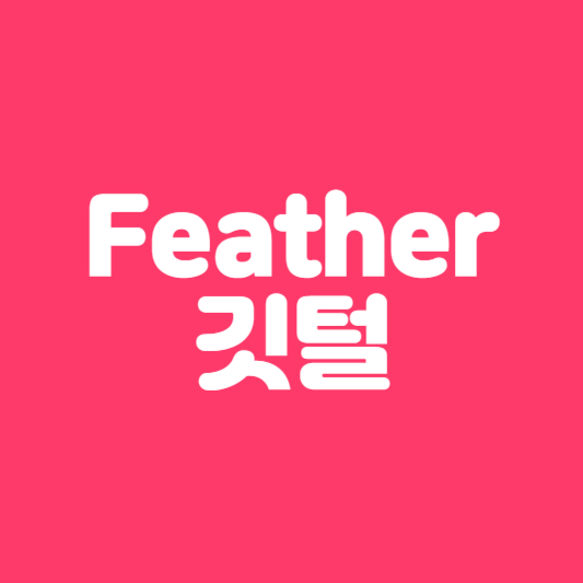 Feather 깃털