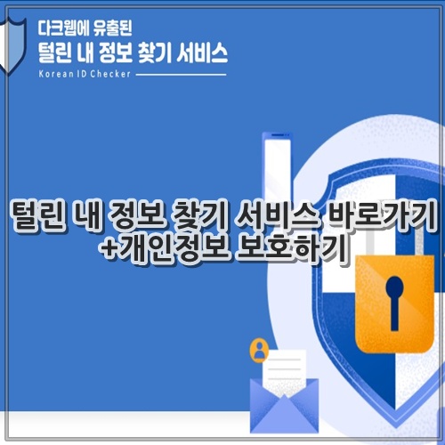 털린 내 정보 찾기 서비스 바로가기 +개인정보 보호하기