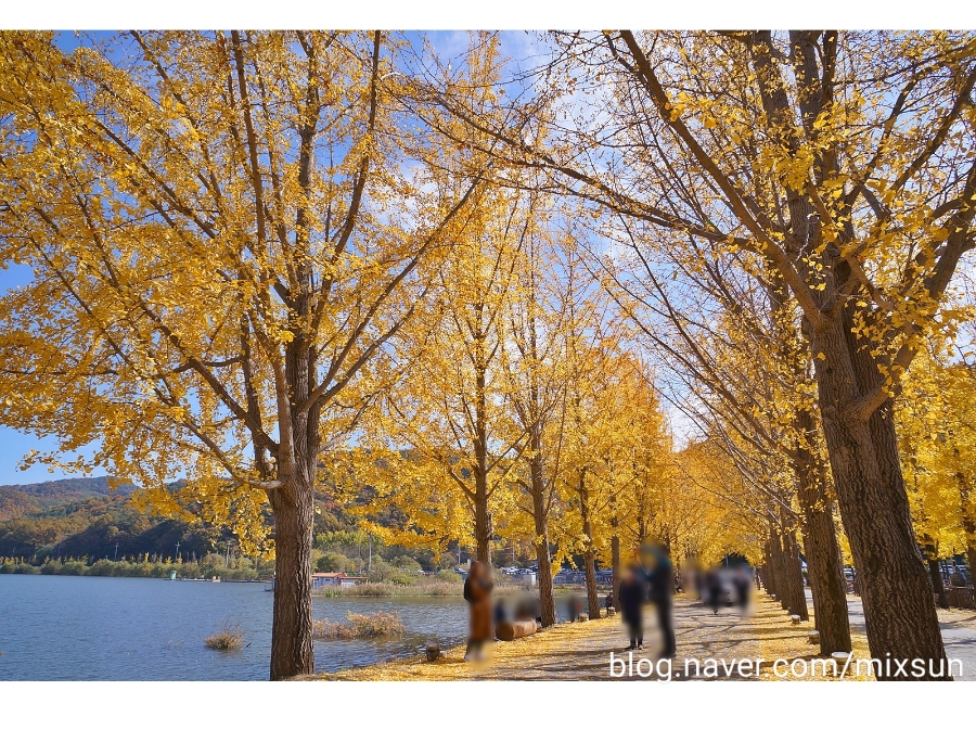 단풍구경 가볼만한 곳 괴산 가볼만한곳 24