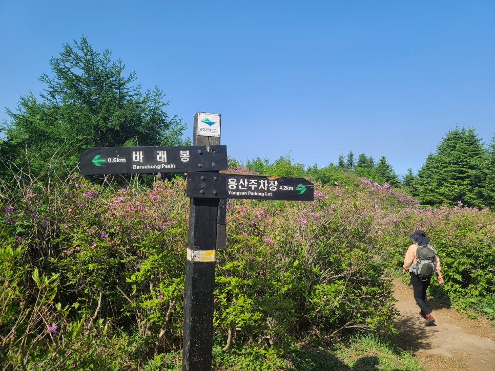 흑약 100대 지리산 바라봉 최단 등산코스 19