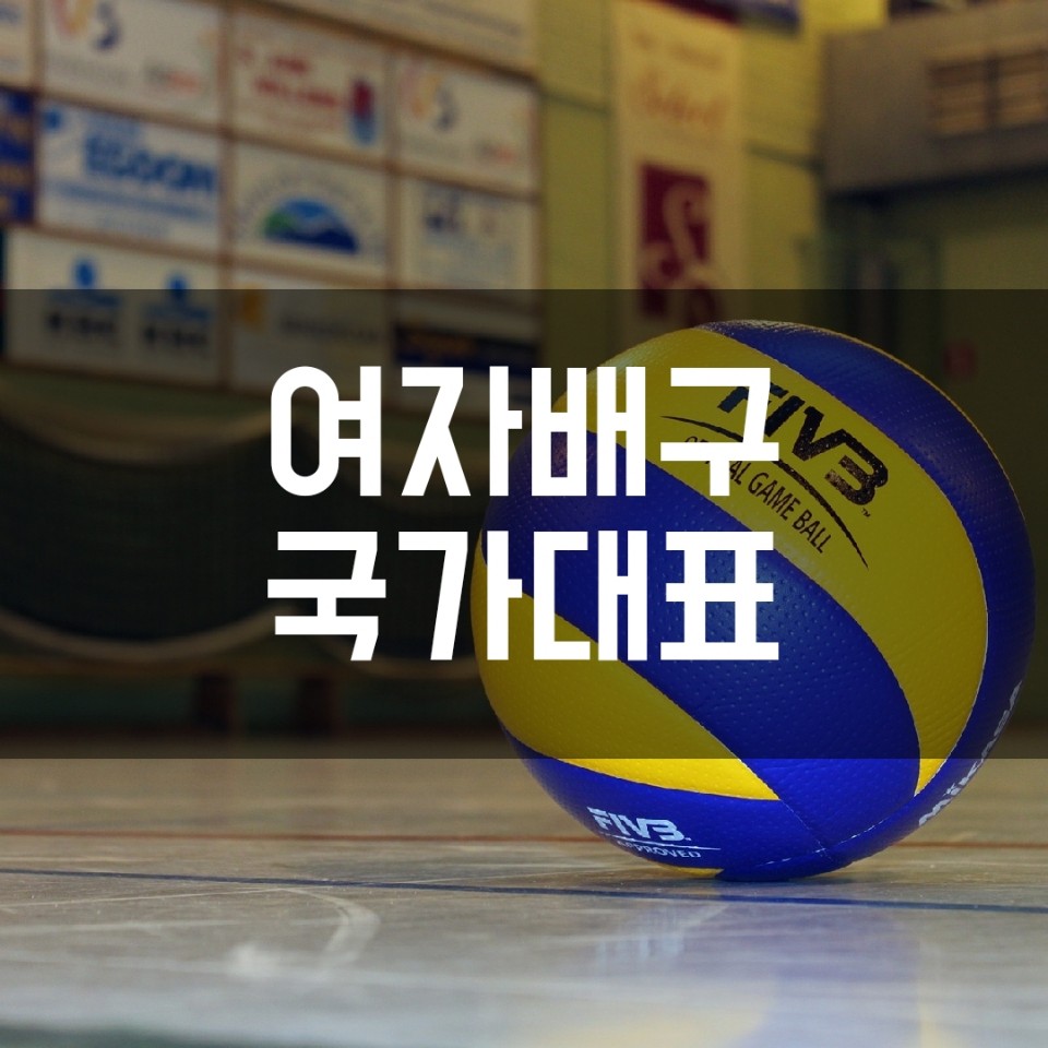  여자배구 국가대표 명단