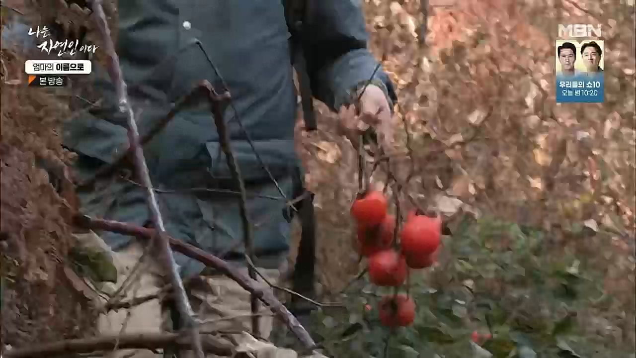 나는 자연인이다.E531.221208p.H264-F1RST.mp4_20221208_204226.604.jpg