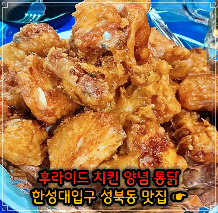 성북동 한성대입구 맛집 후라이드 치킨