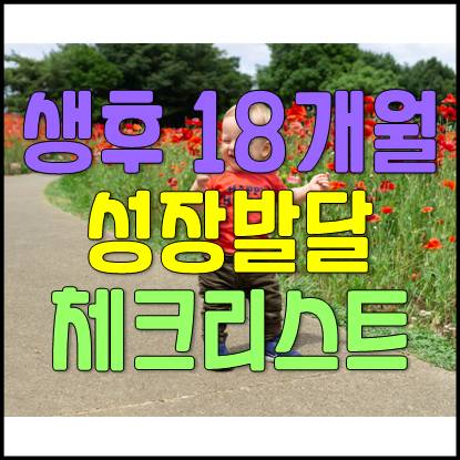  생후 18개월 아기 성장 발달 점검 체크리스트