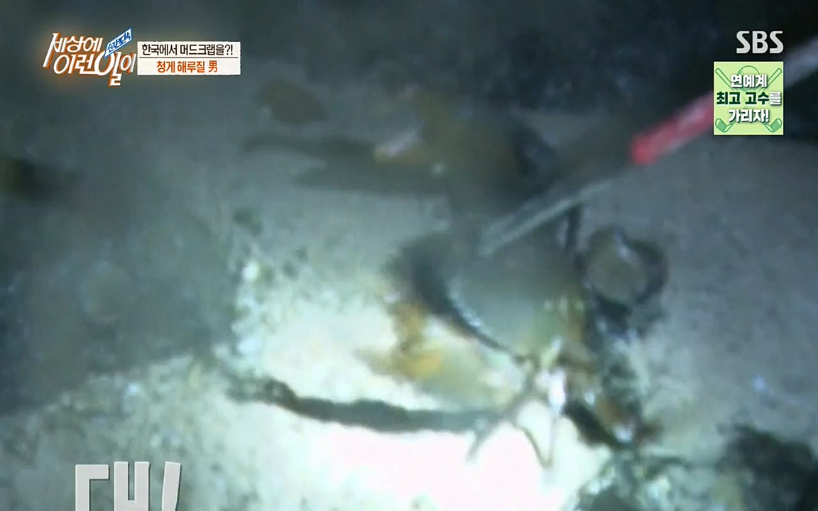 순간포착 세상에 이런일이.E1195.220831p-NEXT.mp4_20220831_201229.396.jpg