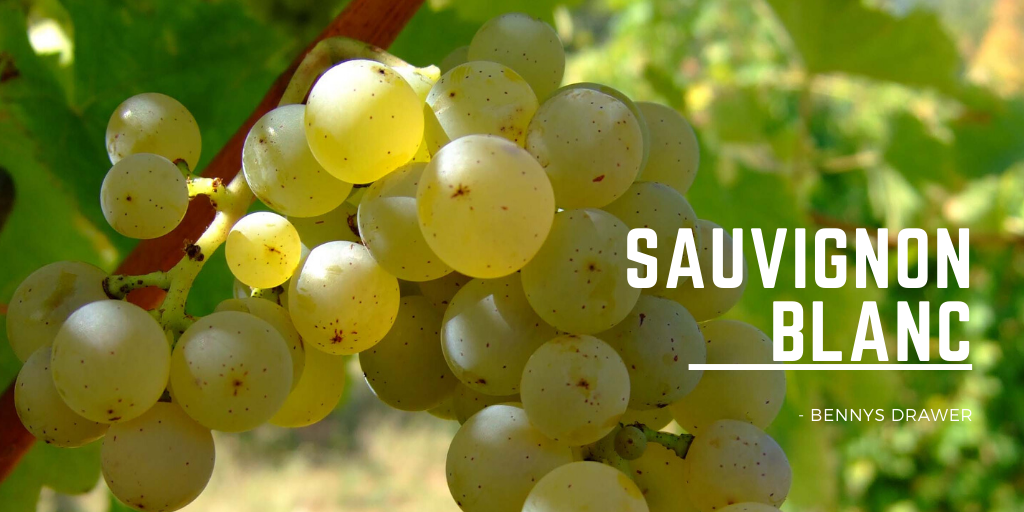 Sauvignon Blanc
