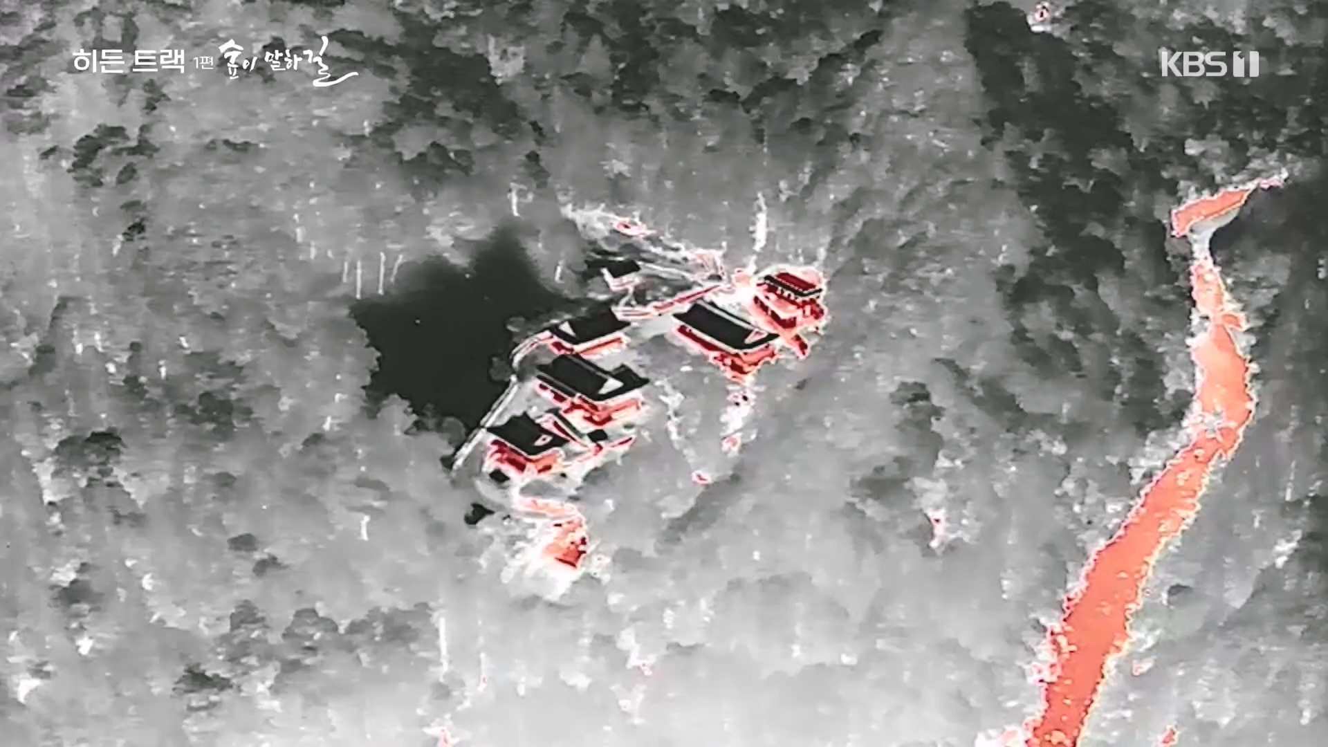 다큐 인사이트.E176.231214p.H264-F1RST.mp4_20231215_205444.147.jpg