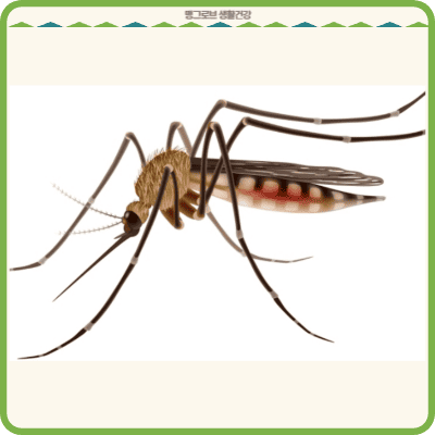 말라리아의 원인이 되는 모기
