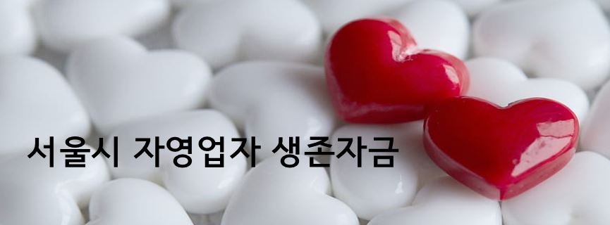  서울시 자영업자 생존자금 지원
